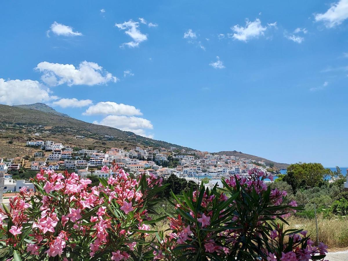 Villa Arni Andros - Βίλα Αρνη Батси Экстерьер фото