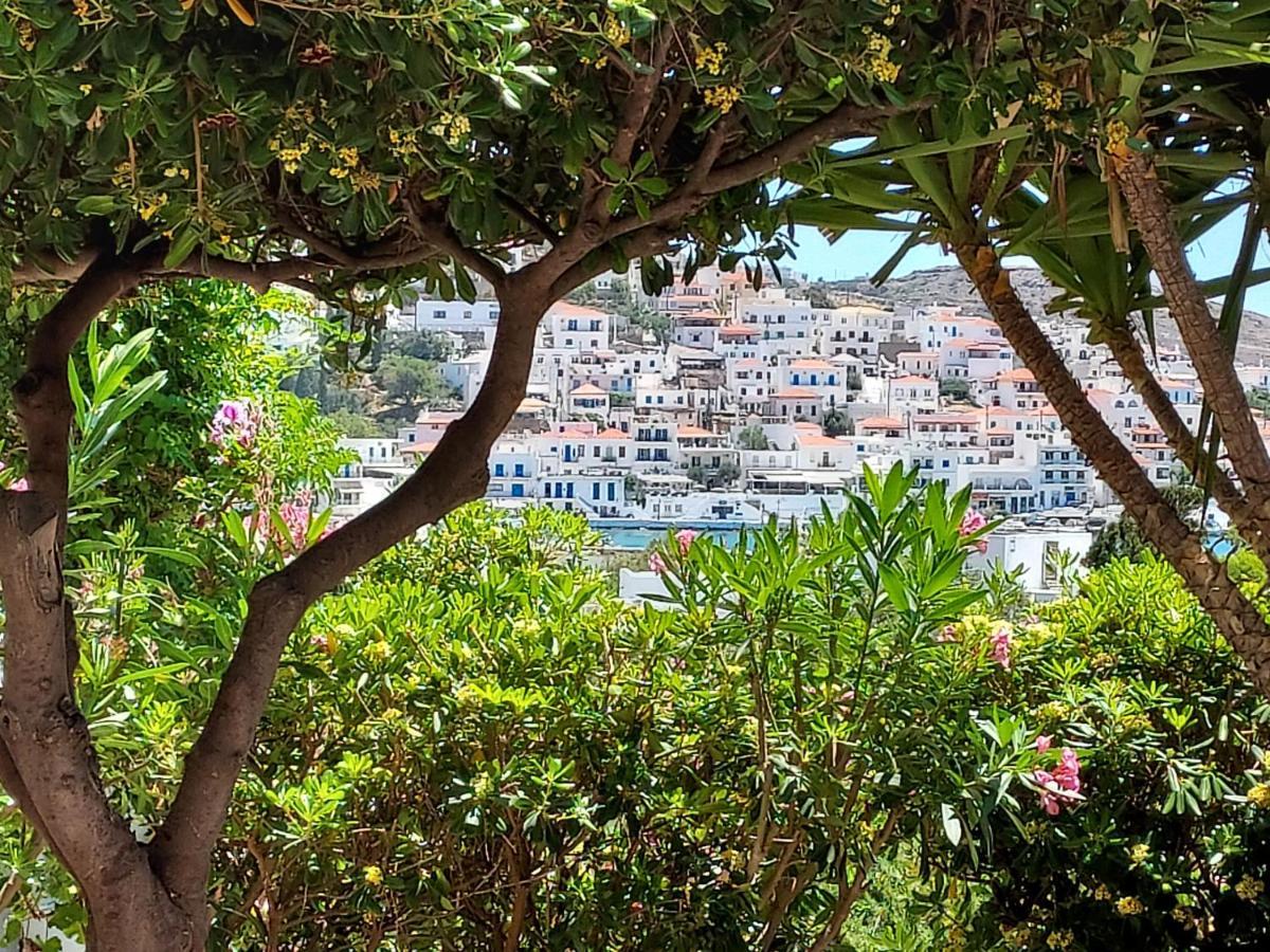 Villa Arni Andros - Βίλα Αρνη Батси Экстерьер фото