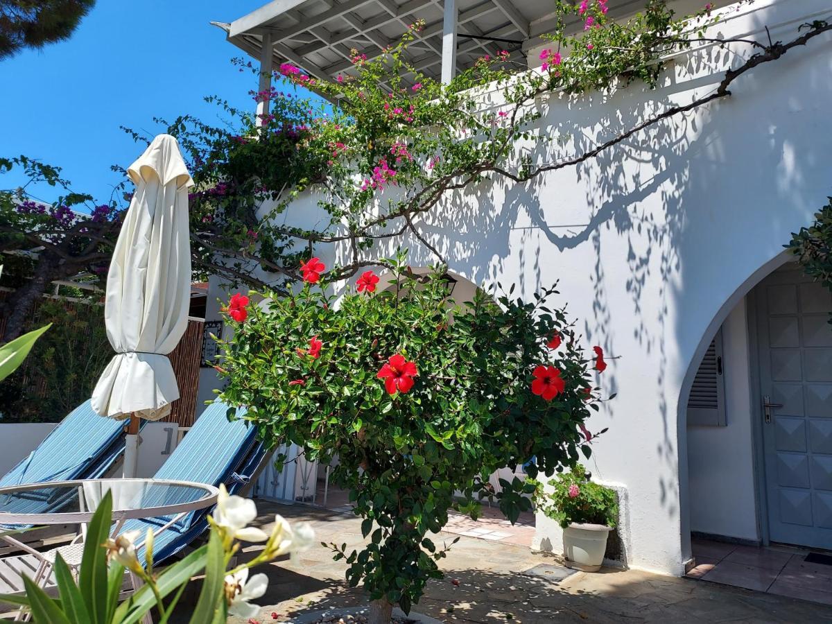 Villa Arni Andros - Βίλα Αρνη Батси Экстерьер фото