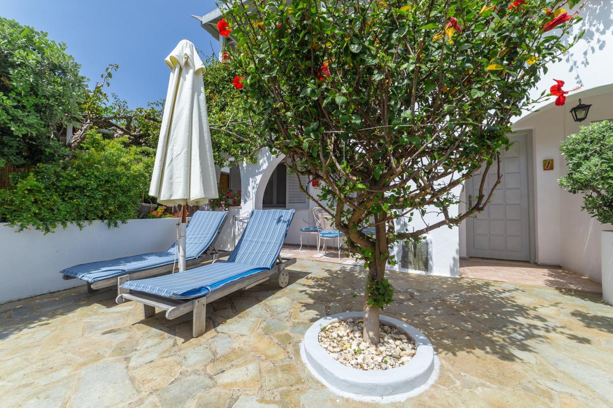 Villa Arni Andros - Βίλα Αρνη Батси Экстерьер фото
