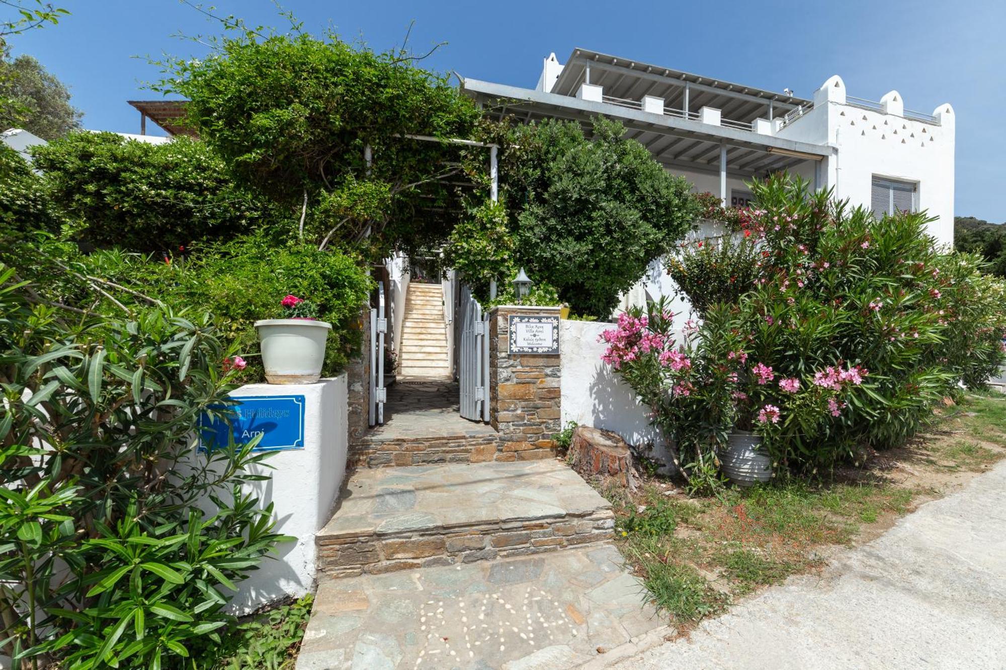 Villa Arni Andros - Βίλα Αρνη Батси Экстерьер фото